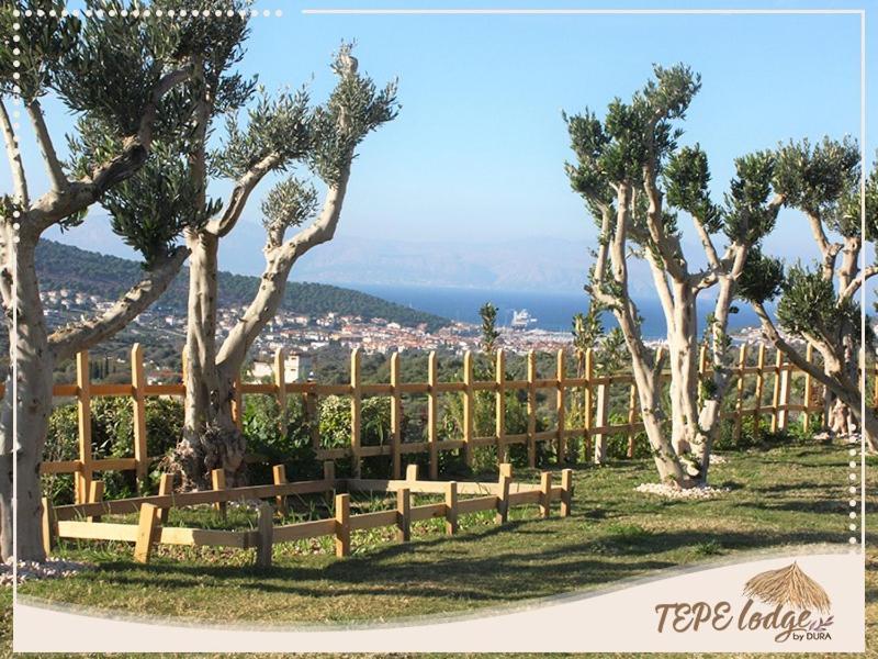 Tepe Lodge Çeşme Exterior foto
